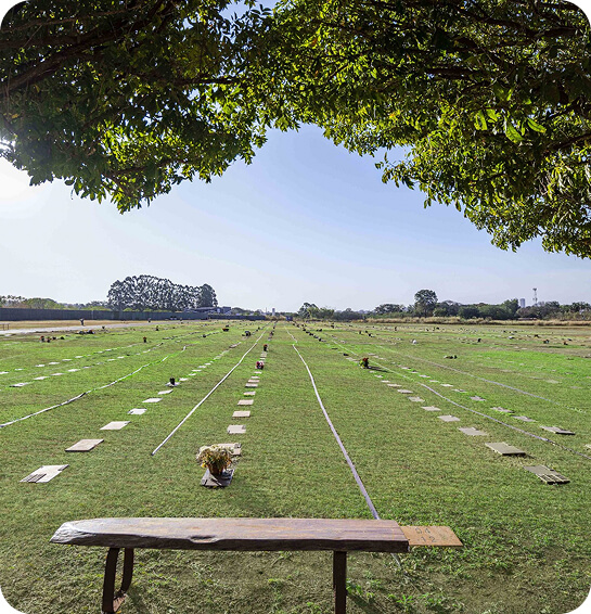 Imagem do parque