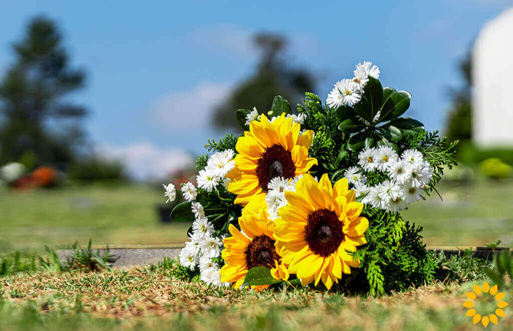 Flores com paisagem ao fundo